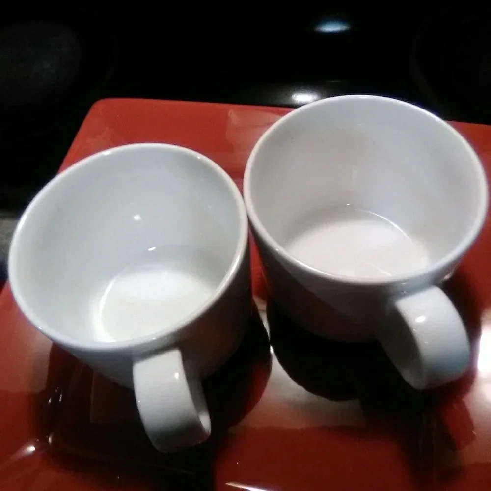 2 Crate&Barrel Cup 10 oz.